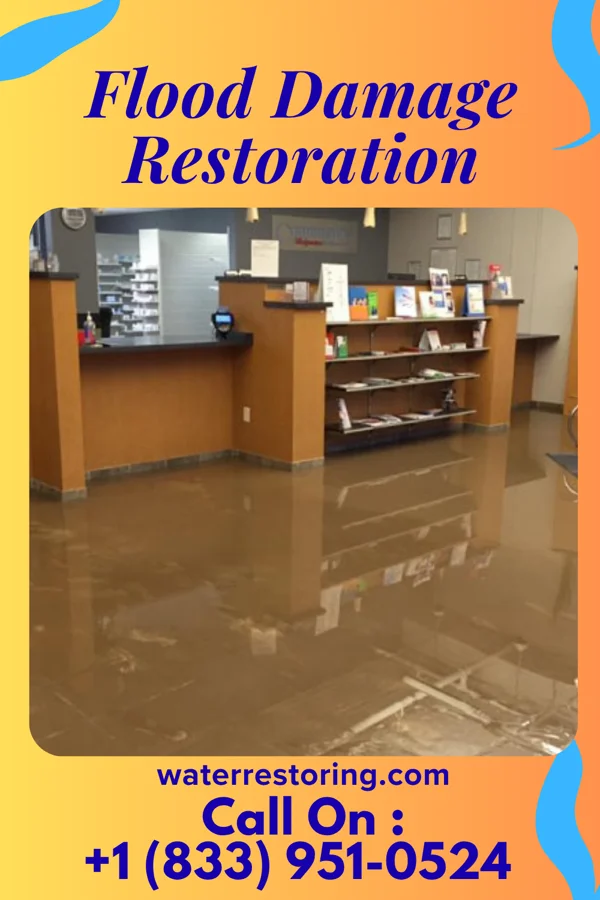 Flood Damage Restoration in Cottage Grove, TN