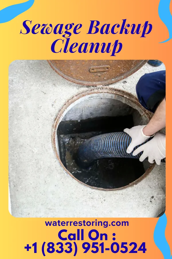 Sewage Backup Cleanup in Cottage Grove, TN