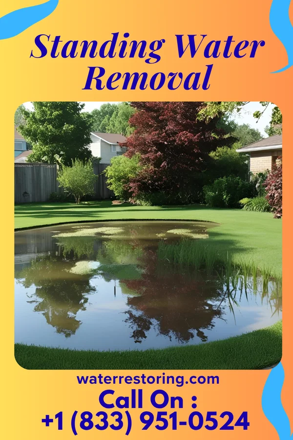 Standing Water Removal in Cottage Grove, TN